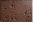 Thumbnail for version as of 13:08, 8 March 2025
