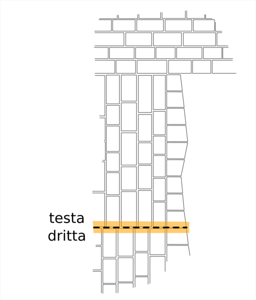 File:Testa dritta.png