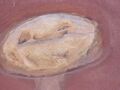 Thumbnail for version as of 13:08, 8 March 2025