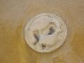 Thumbnail for version as of 13:08, 8 March 2025