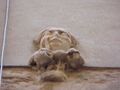 Thumbnail for version as of 13:08, 8 March 2025