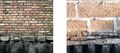 Thumbnail for version as of 13:08, 8 March 2025