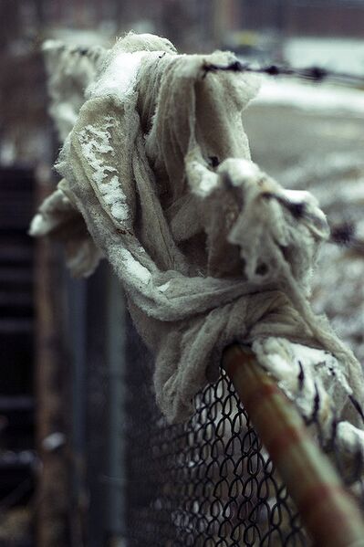File:Catch of the Day,Scoopon 2969.jpg