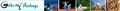 Thumbnail for version as of 13:08, 8 March 2025
