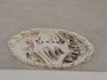 Thumbnail for version as of 13:08, 8 March 2025