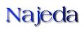 Thumbnail for version as of 13:08, 8 March 2025