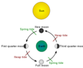 Thumbnail for version as of 13:08, 8 March 2025