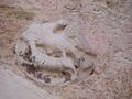 Thumbnail for version as of 13:08, 8 March 2025