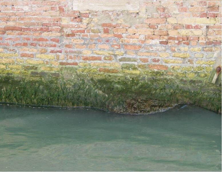 File:Wakeup wall.jpg