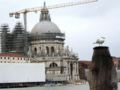 Thumbnail for version as of 13:08, 8 March 2025