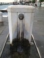 Stone fountain with algae