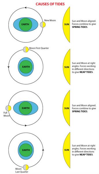 File:Sun Tides.png