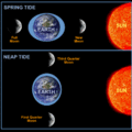 Thumbnail for version as of 13:08, 8 March 2025