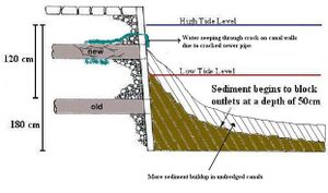 A diagram showing sediment blocking sewer outlet causing them to rupture
