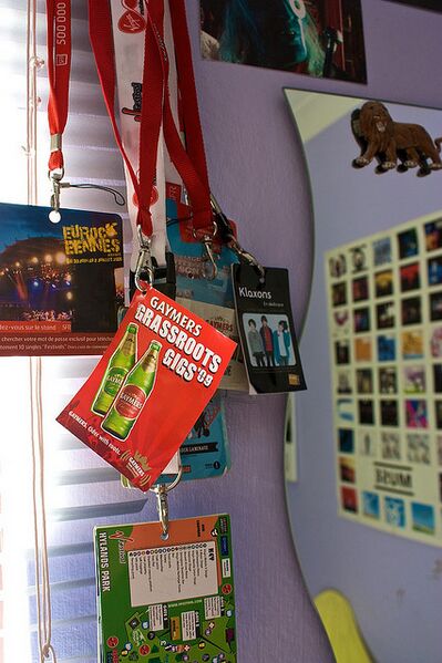 File:Lanyards 1221.jpg