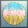 Thumbnail for version as of 13:08, 8 March 2025