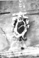 Thumbnail for version as of 13:08, 8 March 2025