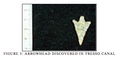 Thumbnail for version as of 13:08, 8 March 2025