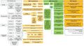 Thumbnail for version as of 13:08, 8 March 2025