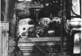 Thumbnail for version as of 13:08, 8 March 2025